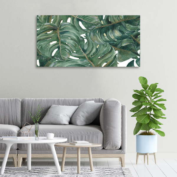 Foto canvas Monstera