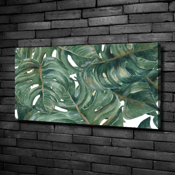 Foto canvas Monstera