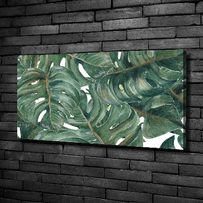 Foto canvas Monstera