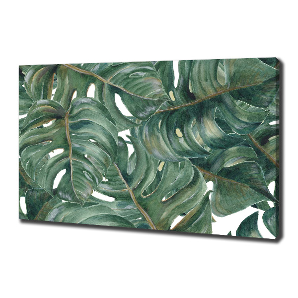 Foto canvas Monstera