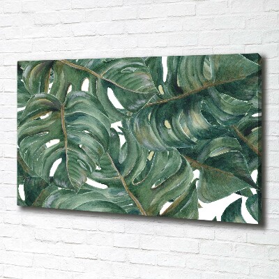 Foto canvas Monstera