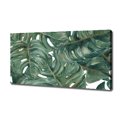 Foto canvas Monstera