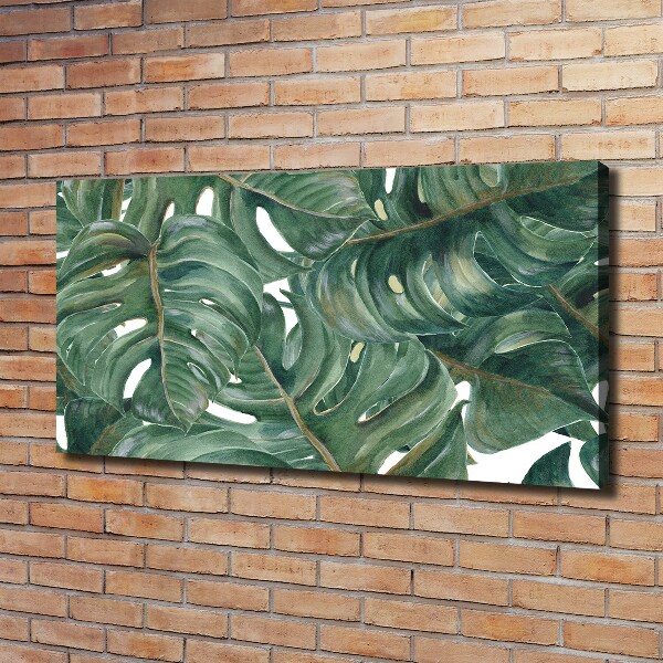 Foto canvas Monstera
