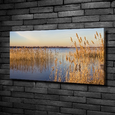 Canvas schilderij Waterriet