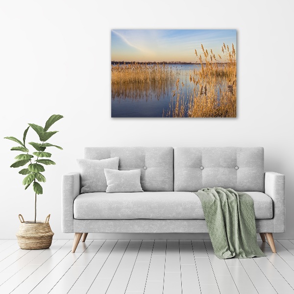 Canvas schilderij Waterriet