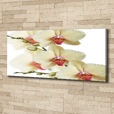 Schilderij op canvas Orchidee