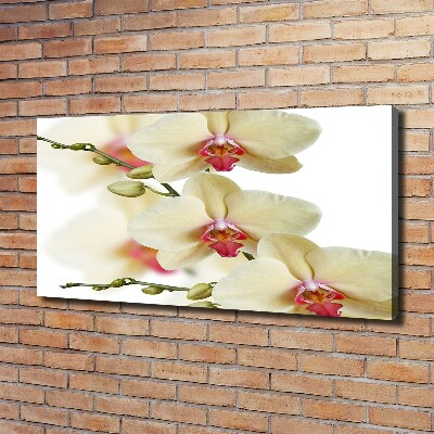 Schilderij op canvas Orchidee