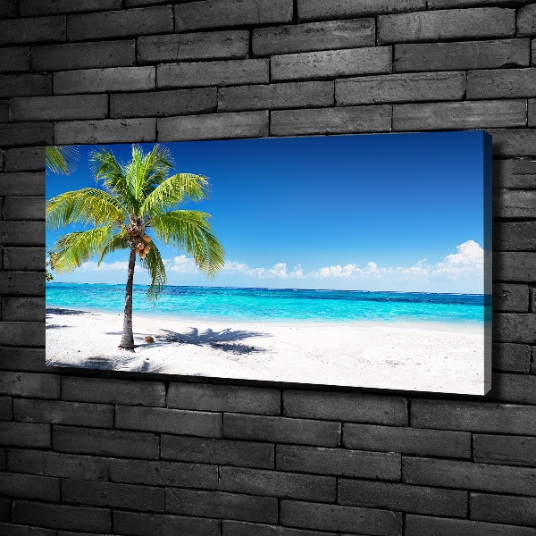 Foto canvas Tropisch strand