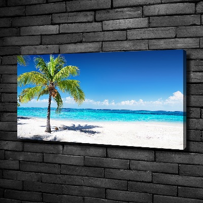 Foto canvas Tropisch strand