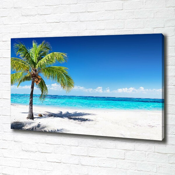 Foto canvas Tropisch strand