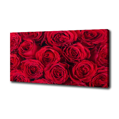 Foto canvas Rozen
