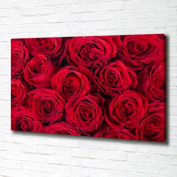Foto canvas Rozen
