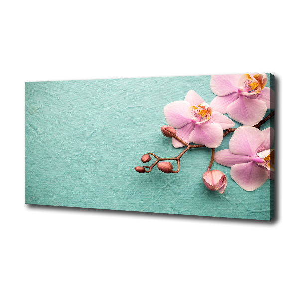 Foto op canvas Orchidee