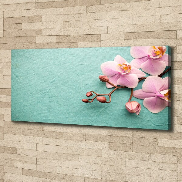 Foto op canvas Orchidee