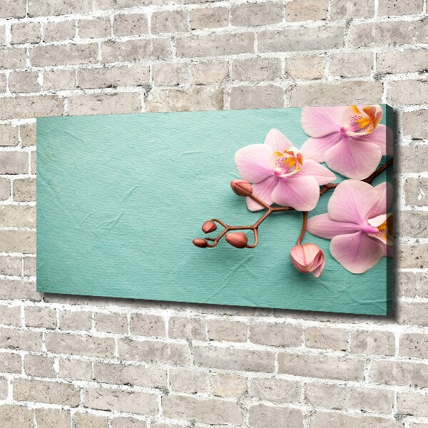 Foto op canvas Orchidee