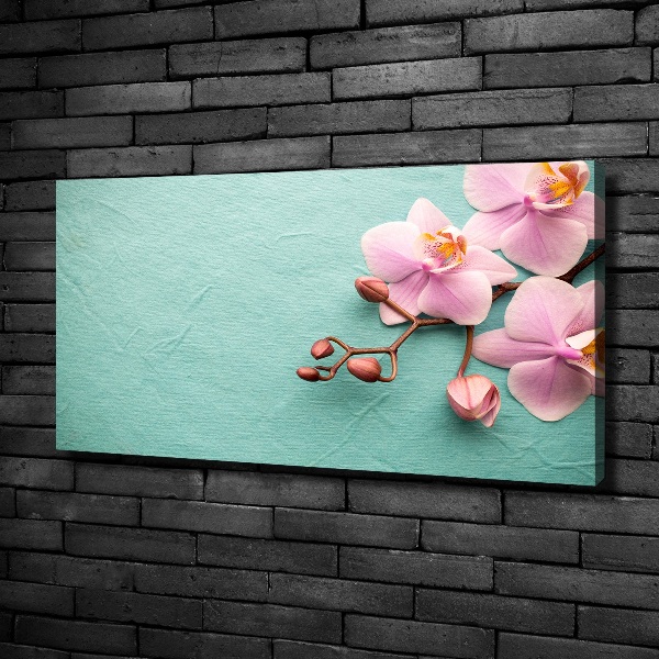 Foto op canvas Orchidee