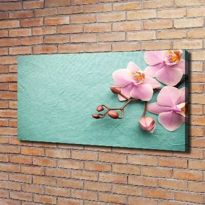 Foto op canvas Orchidee