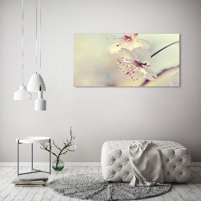 Canvas foto Kersenbloesem