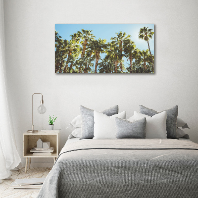 Foto canvas Hoge palmbomen
