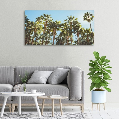 Foto canvas Hoge palmbomen