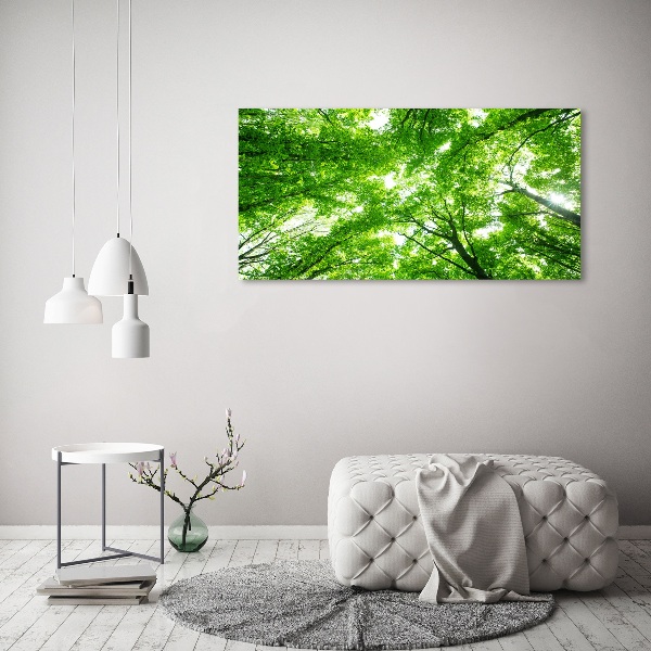 Schilderij op canvas Groen bos