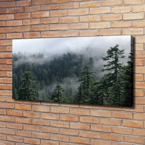 Foto op canvas Bosmist
