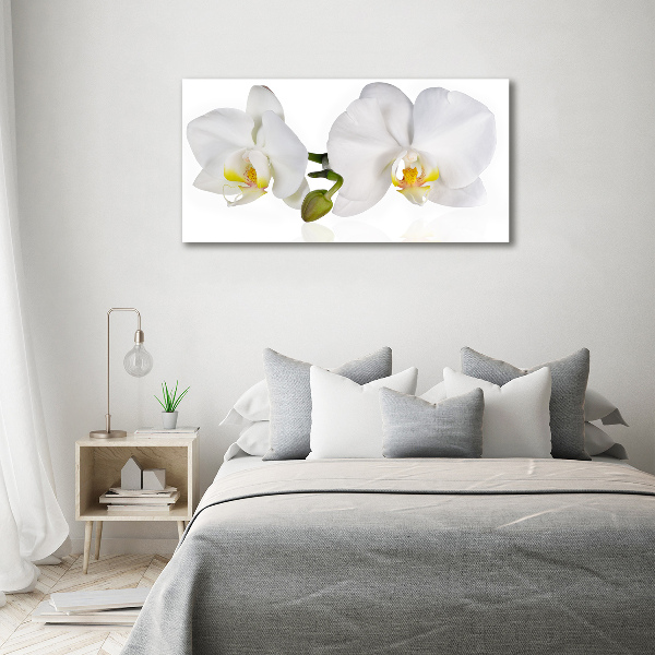 Foto canvas Orchidee