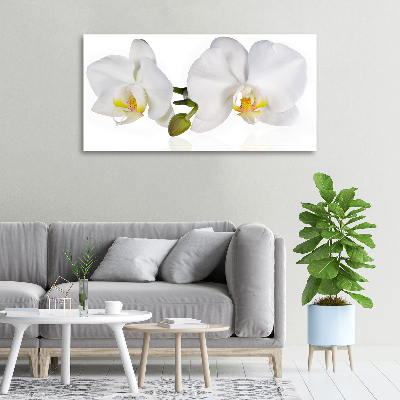 Foto canvas Orchidee