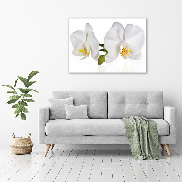 Foto canvas Orchidee
