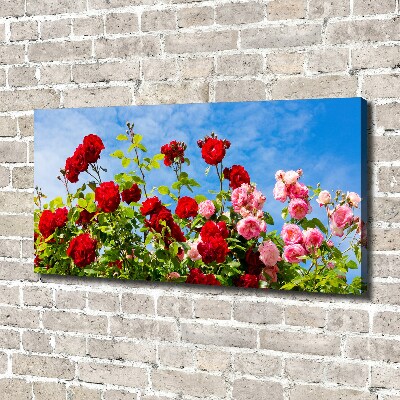 Canvas schilderij Wilde rozen