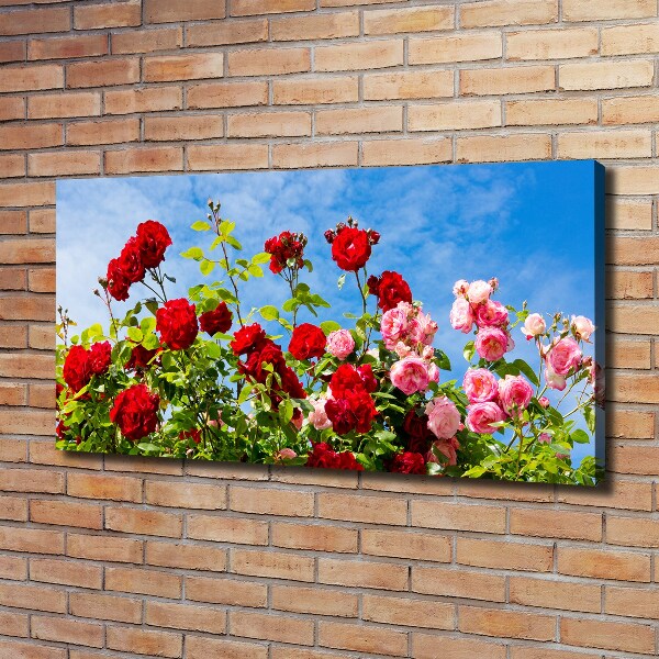 Canvas schilderij Wilde rozen