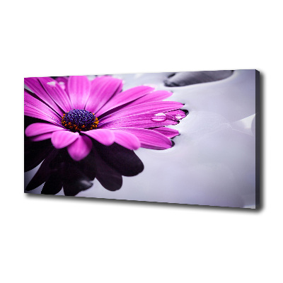 Schilderij op canvas Gerbera