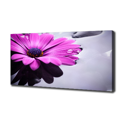 Schilderij op canvas Gerbera