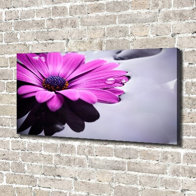 Schilderij op canvas Gerbera