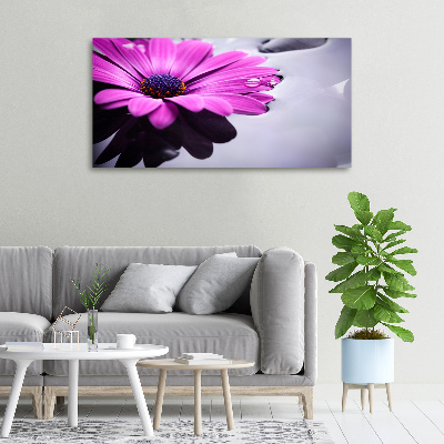 Schilderij op canvas Gerbera