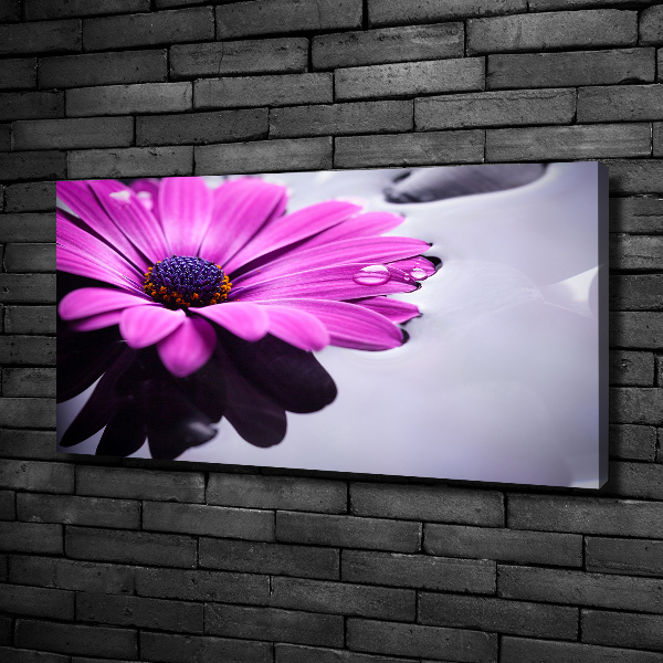 Schilderij op canvas Gerbera