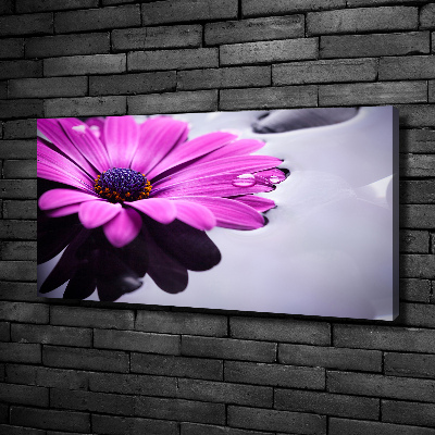 Schilderij op canvas Gerbera