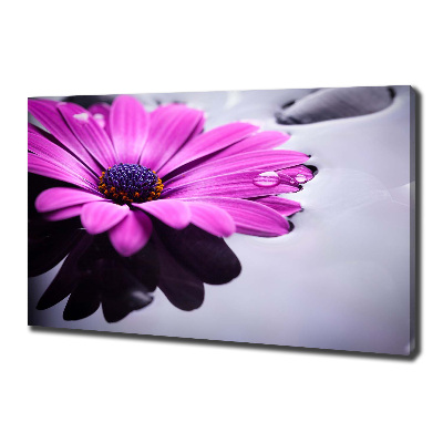 Schilderij op canvas Gerbera