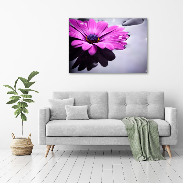 Schilderij op canvas Gerbera