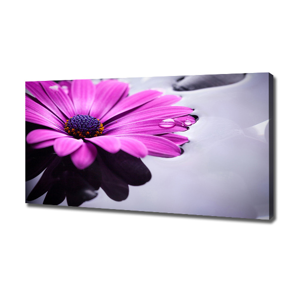 Schilderij op canvas Gerbera