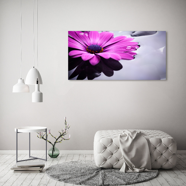 Schilderij op canvas Gerbera