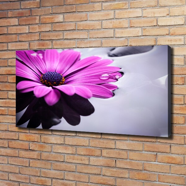 Schilderij op canvas Gerbera