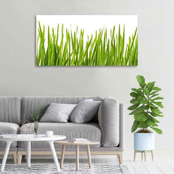 Foto canvas Gras