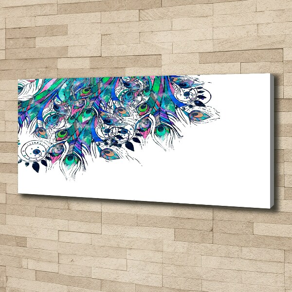 Canvas schilderij Pauwenveren