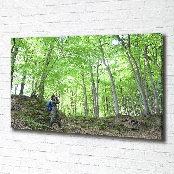 Foto canvas Ornitholoog in het bos