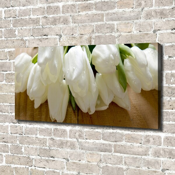 Canvas foto Witte tulpen