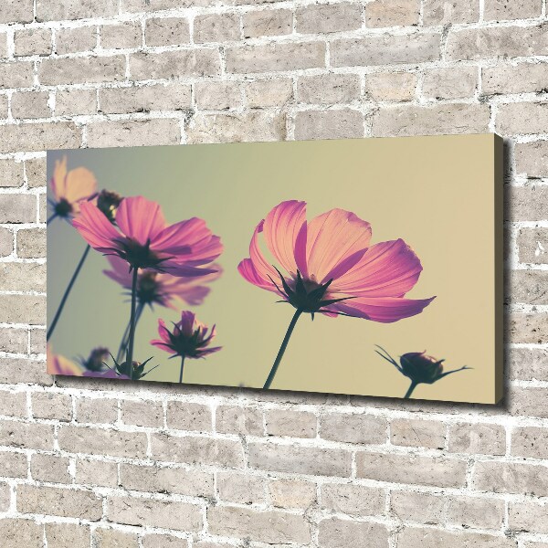 Canvas schilderij Roze bloemen