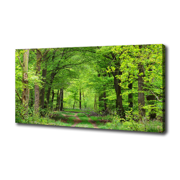Foto canvas Lentebos