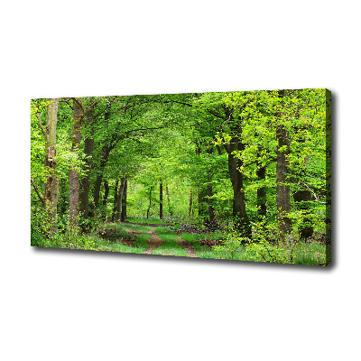 Foto canvas Lentebos