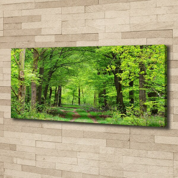 Foto canvas Lentebos